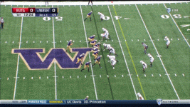 rbahycoccdq5.gif rbahycoccdq5.gif