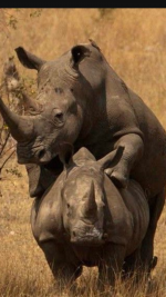 fo0xmhkbdco6.png fo0xmhkbdco6.png