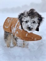 czpc779keakb.jpeg czpc779keakb.jpeg