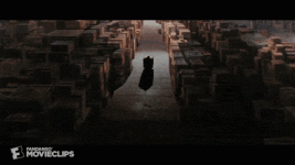 hle6022cqdno.gif hle6022cqdno.gif