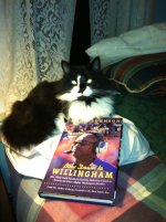 2jt4v1ylhtt2.jpg 2jt4v1ylhtt2.jpg