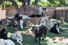 1t9oq2pamiil.jpg 1t9oq2pamiil.jpg