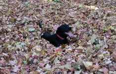 ad66ctrwpyzo.jpg ad66ctrwpyzo.jpg