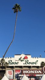 4zaakrnt1rt2.jpeg 4zaakrnt1rt2.jpeg