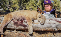 54ugjt43ewdc.png 54ugjt43ewdc.png