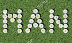 dsmemygouu12.jpg dsmemygouu12.jpg