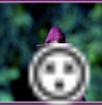 z1bhc3cp2ldv.jpeg z1bhc3cp2ldv.jpeg