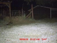 8rwjcqaxwb16.jpg 8rwjcqaxwb16.jpg