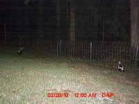 0ng819oejym9.jpg 0ng819oejym9.jpg