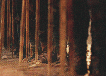 398v1tr0r9hz.gif 398v1tr0r9hz.gif