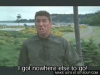 9wlf4rnmrvtx.gif 9wlf4rnmrvtx.gif