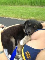 6jxnciyvft86.jpeg 6jxnciyvft86.jpeg