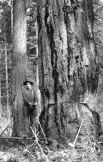 e5lnsnsztm6x.jpg e5lnsnsztm6x.jpg