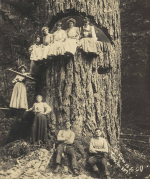 va6g6jz4bo8l.png va6g6jz4bo8l.png