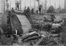 nuk9xbd115ax.png nuk9xbd115ax.png