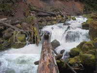 2qc6rcj79w12.jpg 2qc6rcj79w12.jpg