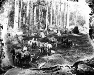 nwnd6fcvqyov.png nwnd6fcvqyov.png