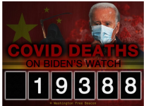 2zj03hz1x15p.png 2zj03hz1x15p.png