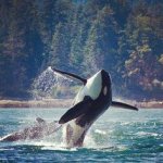 7z8roi5fc901.jpeg 7z8roi5fc901.jpeg