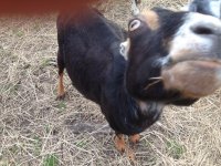 1dhpunmnadvp.jpeg 1dhpunmnadvp.jpeg