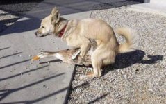 y1of8mlqj3og.jpeg y1of8mlqj3og.jpeg