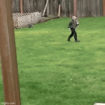ktg5fdj66ahl.gif