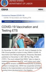 w3p3wxe7qmxy.jpeg w3p3wxe7qmxy.jpeg