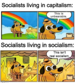 uu6plc893tui.png uu6plc893tui.png