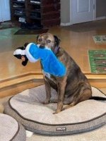 pq0tjcbz28ao.jpg pq0tjcbz28ao.jpg