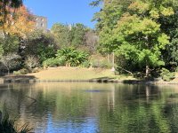 tirobiucqcd4.jpg tirobiucqcd4.jpg