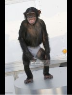 x4cbhvd5wsmn.jpeg x4cbhvd5wsmn.jpeg