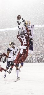 ltyzvdepcoys.jpeg ltyzvdepcoys.jpeg