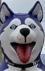 n71dtcef143j.jpeg n71dtcef143j.jpeg