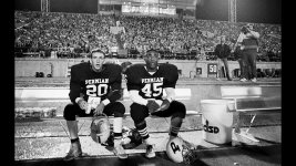 23p3xyvcjlru.jpeg 23p3xyvcjlru.jpeg