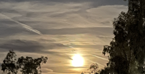 dhscympcwtdx.png dhscympcwtdx.png