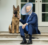 dx6zlnpdqe1b.png dx6zlnpdqe1b.png