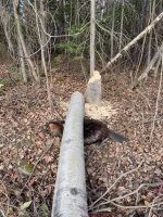 tynrcx9ojr70.jpg tynrcx9ojr70.jpg