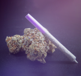 5tle1zmqd7vm.png 5tle1zmqd7vm.png