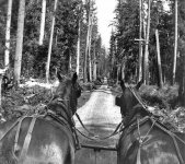 r8dyrwjlp069.jpg r8dyrwjlp069.jpg