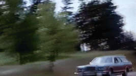 873806878a2ef30c36c11f655cbdbc.gif 873806878a2ef30c36c11f655cbdbc.gif