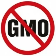 gmo