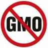 gmo