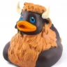bisonduck