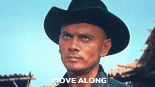 western-yul-brynner.gif