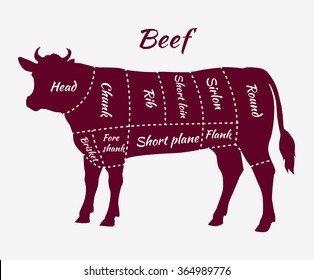 american-cuts-beef-scheme-steak-260nw-364989776.jpg