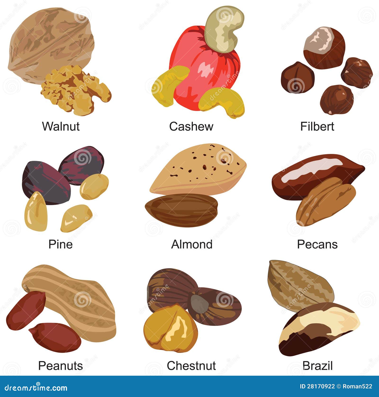 set-different-nuts-28170922.jpg