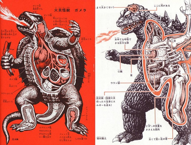 uh43048,1264723232,anatomy_gamera_godzilla.jpg