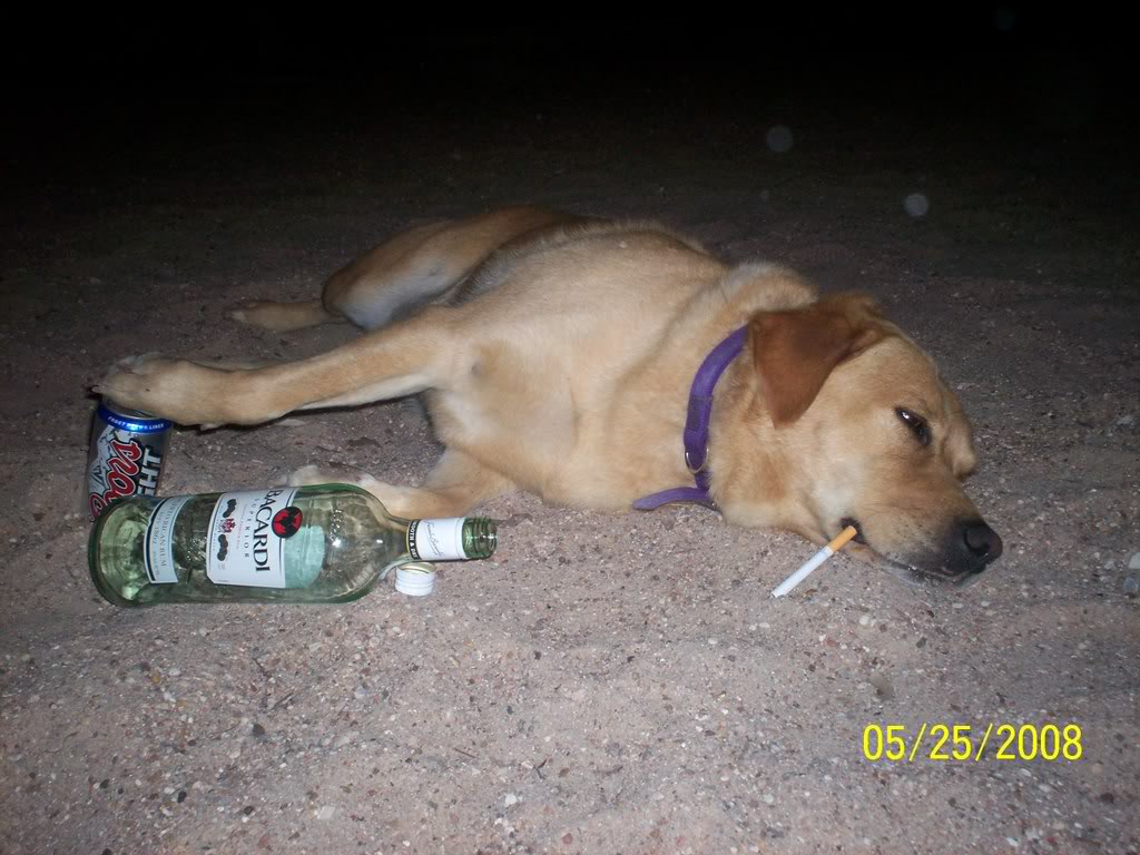 copyof-drunkdog-lake021.jpg