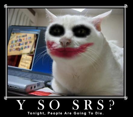 0-serious-cat-joker1.jpg