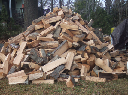 wood_pile.png